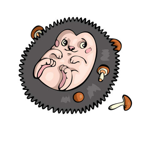 Hedgehog with mushrooms Friendly Cute forest animal Cartoon. . Vector illustrationのイラスト素材
