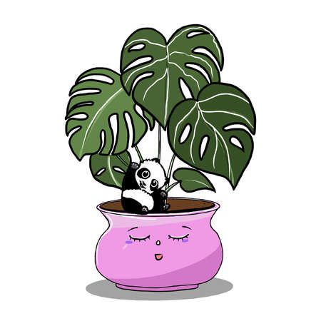 House Potted Plants Urban Jungle Vector isolated illustration.のイラスト素材