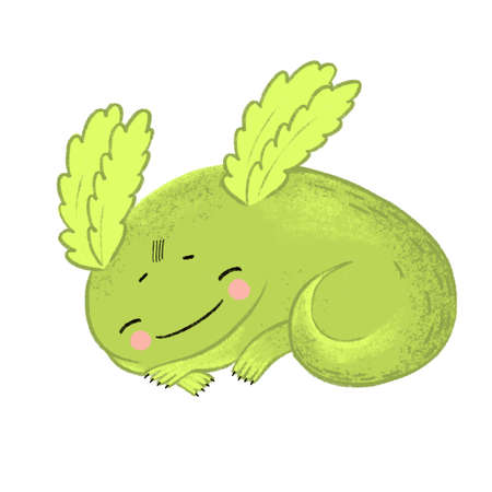 Axelotol on white isolated background . Vector illustrationのイラスト素材
