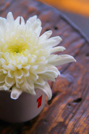 White flower on the tableの写真素材