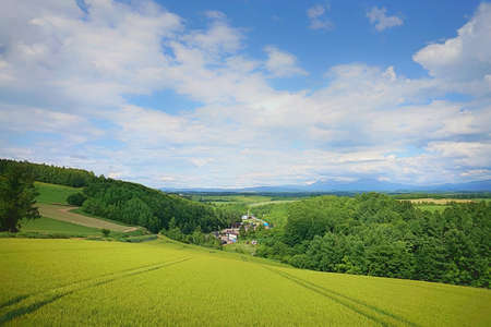 Green landscaping and countryside in a sunny summer dayの写真素材