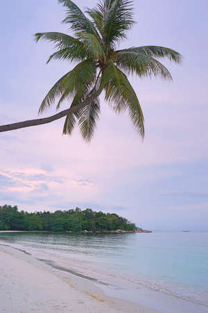 Sunset by the sea and beach in a holidayの写真素材