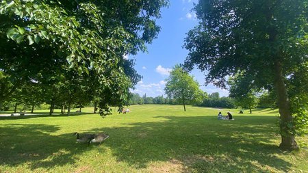 Green landscaping and countryside in a sunny summer dayの写真素材
