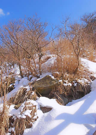 crater volcano with snow in winter in Japanの写真素材