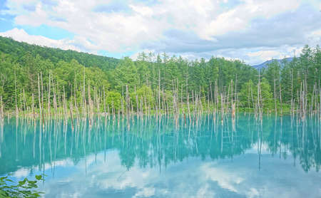 Japan in kanji green blue Pond in a sunny dayの写真素材