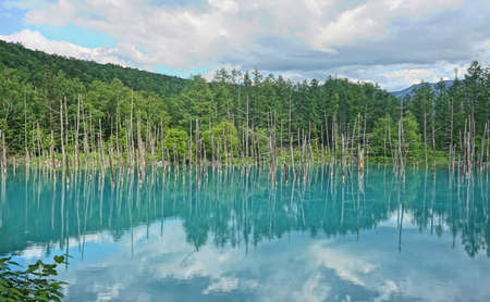 Japan in kanji green blue Pond in a sunny dayの写真素材