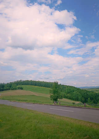 Green landscaping and countryside in a sunny summer dayの写真素材