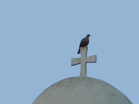 church dome       の写真素材
