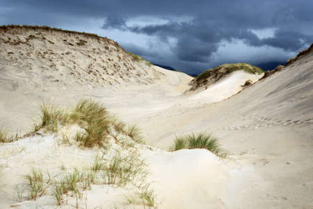 Sand duneの写真素材