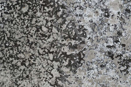 Ceiling surface in an old subwayの写真素材