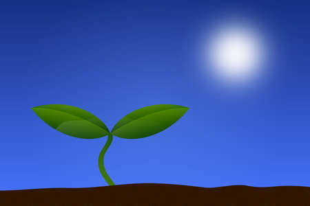 Small plant in the spring an the sun vectorのイラスト素材