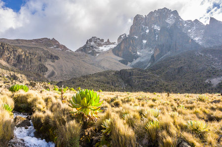 Mount Kenya and the Batian Peak from Shiptons Campの写真素材