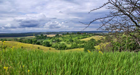  the Ukrainian  rural landscape with a green grass in the foreground.   の写真素材