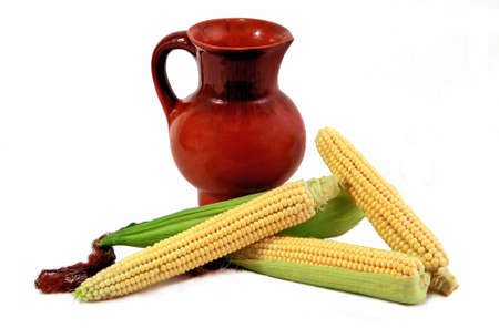 corn of a new crop isolated white background.