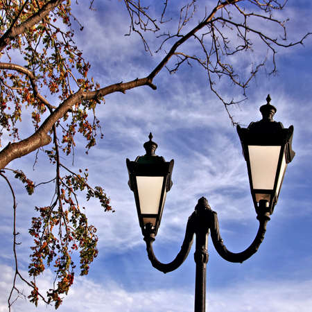 an autumn city etude 