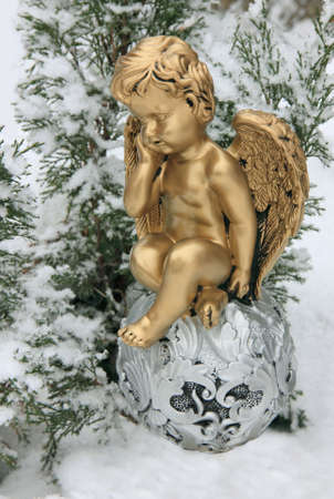 a figure an angel against a coniferous branch  の写真素材