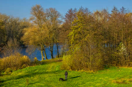 Serene autumn day on the bank of the river.の写真素材
