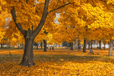 Small city square during an autumn season の写真素材