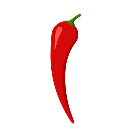 Red chili pepper spice. Spicy fresh vegetable, healthy cooking ingredient. Ripe hot red chili peppers. Vector flat illustrationのイラスト素材