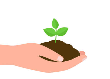 Hand holds plant with earth, new green sprout, plant growth. Save ecology and environment. Plant conservation. Vector illustrationのイラスト素材