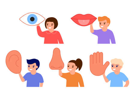 Children hold five organs senses. Kids show sensory part body eye, mouth, hear, nose, hand. Sight, taste, hearing, smell and touch. Vector illustrationのイラスト素材