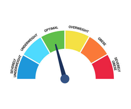 Bmi categories chart, body mass index and scale mass people. Severely underweight, underweight,...