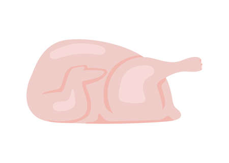 Raw chicken meat, food chicken carcass. Side view. Vectorのイラスト素材