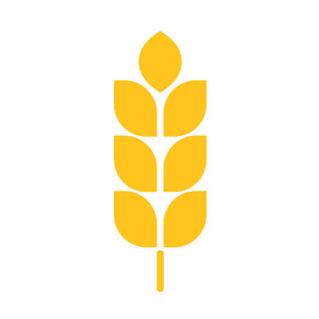 Wheat ear, stem icon. Healthy food, proper nutrition. Agriculture. Make wheat flour, bread. Vector signのイラスト素材