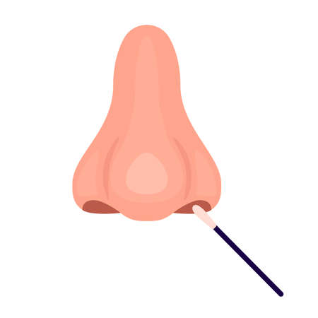 Nose pcr swab test for control virus. Nasal probe for fast analysis on check presence. Nose and medical stick. Vector illustrationのイラスト素材