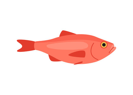 Seabass perch marine cartoon, seafood and underwater animal. Aquatic delicacy, gourmet. Fishery. Vector illustration isolatedのイラスト素材