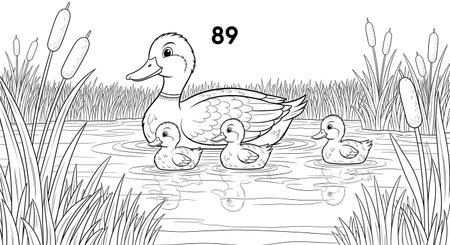 A black and white line drawing of a mother duck and her three baby ducklings in a pond surrounded by reeds and cattails. An illustration for a kids coloring book.の素材