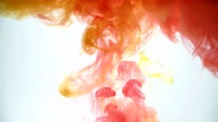 Take a picture of ink into the water. Photos are from the creations of the team.