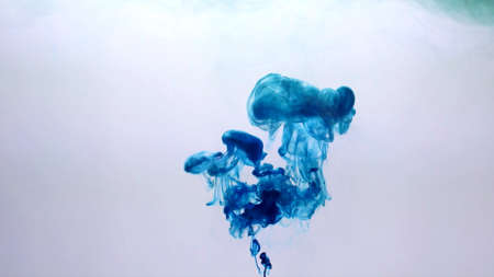 Take a picture of ink into the water. Photos are from the creations of the team.