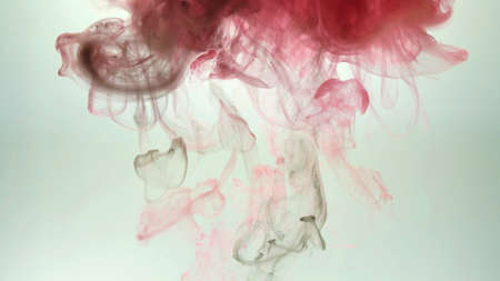 Take a picture of ink into the water. Photos are from the creations of the team.の写真素材