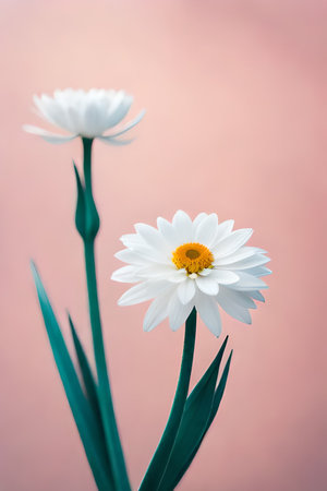 minimalistic pastel white flower background. elegant wallpaper design. pink teal gradient colors. simplistic art.  generative ai.の素材
