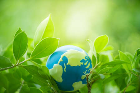 Closeup nature view of green leaf with world globe on blurred greenery background and copy space for text using as background green plants landscape, wallpaper, happy earth day concept.の写真素材