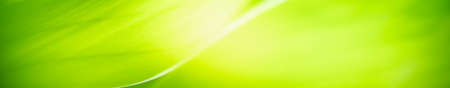 Beautiful nature view of green leaf on blurred greenery background in garden with copy space for text using as summer background natural green plants landscape, ecology, fresh cover page concept.の写真素材
