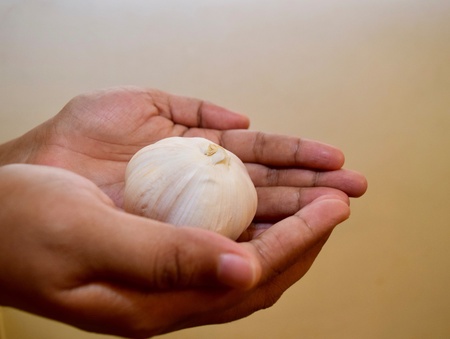 Holding garlic on handの素材