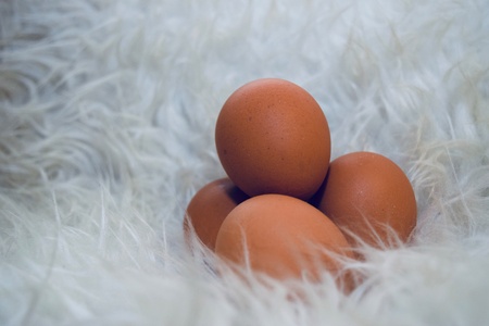 Eggs on white fur.の素材