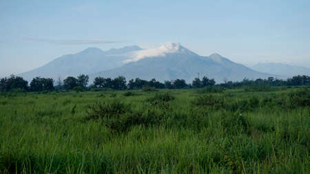 Grassland and Cloudy Mountain