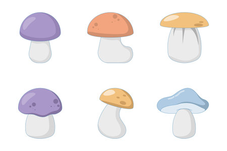 mushroom concept, Collection of different mushrooms. featuring cute toadstools. isolated in nature. Cartoon illustration of mushrooms in the forest.のイラスト素材