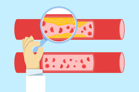 illustration of cardiovascular system analysis, showing cholesterol buildup, blood clots in veins and arteries, and medical study of heart health, circulation, and cardiologyのイラスト素材