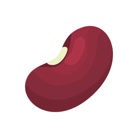 Red kidney bean illustration isolated on white background. Food and agriculture concept for legumes, healthy eating, nutrition, and culinary design visuals.のイラスト素材