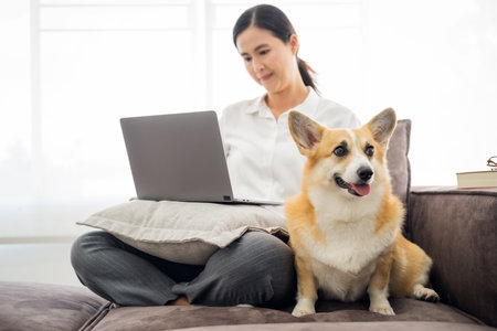 Portrait shot of middle aged woman sitting behind her laptop and working at home in company of her cute puppy. Home office.の写真素材