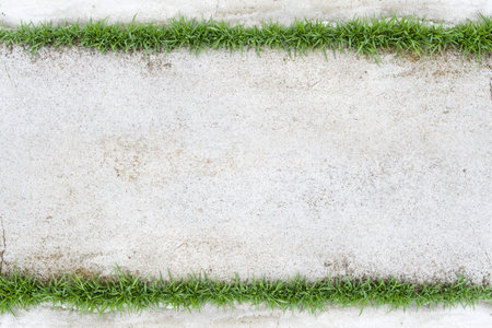 Top view of natural green grass with concrete floorの写真素材