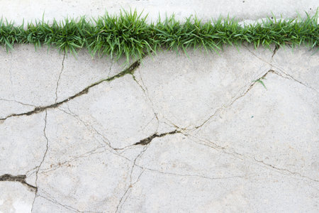 Top view of natural green grass with concrete floorの写真素材