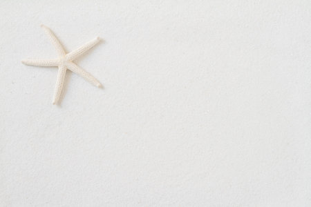 Top view of starfish on white sand background.の写真素材