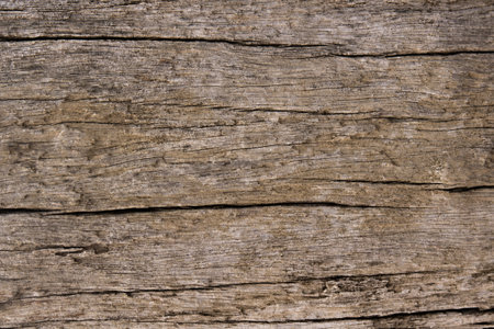 rustic wood texture, abstract wooden backgroundの写真素材