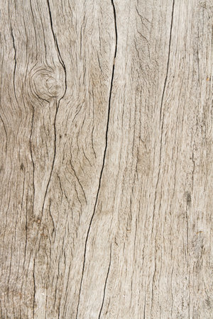 Wood surface Background Textureの写真素材