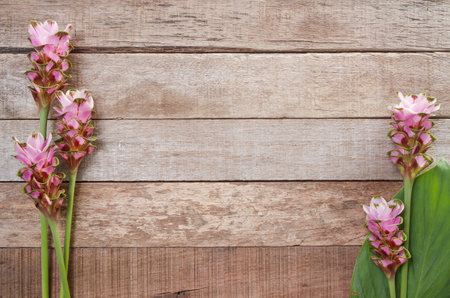 Wild flowers on old grunge background woodenの写真素材